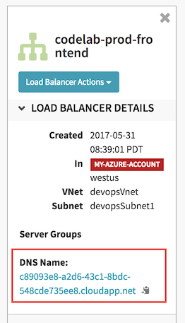 DNS Name of your application