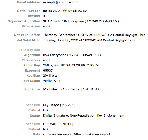 Example x509 certificate generated